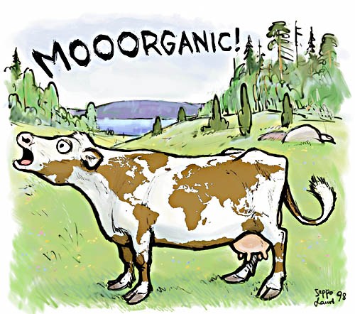 organic milk